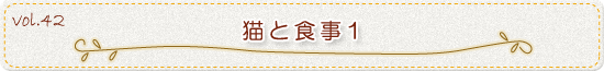 猫と食事1