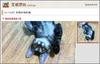 里親募集コンテンツ