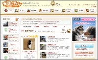 ネコ限定サイト