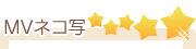 MVねこ写