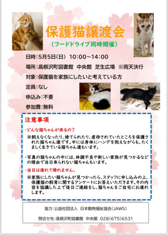 保護猫譲渡会　in　高根沢町