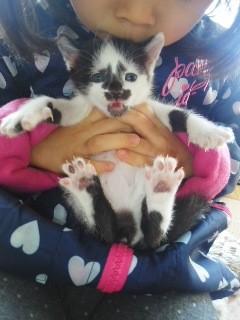 ȋȑq206r []ڋ֎~]©bbspink.com	->摜>939 