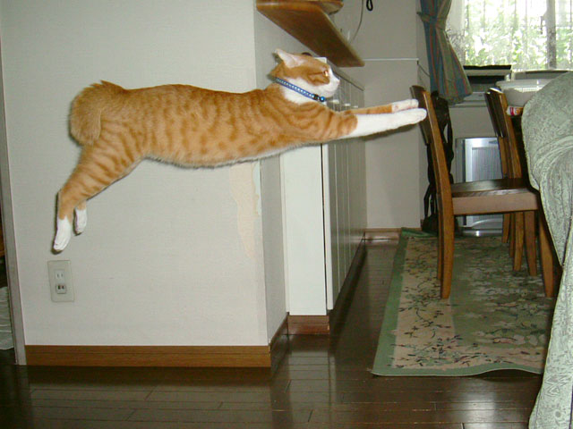 ȋȑqZ 238rڔLKCWuX [f]ڋ֎~]©bbspink.com	->摜>3749 