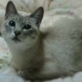 一緒に寝るの〜