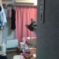 なーに？