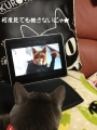 映画鑑賞アゲイン