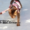 Ｓ～ＯＳ…♪