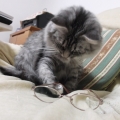 おもちゃかなぁ～