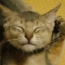 いや～　どうもすいやせん＾＾；