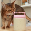 ムムム？　怪しい物体…