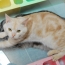 金環猫食!!!