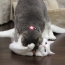 う～こうしてやるｗｗｗ