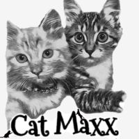 Cat Maxxさん