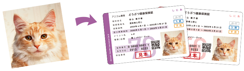 世界に一つだけのオリジナル「どうぶつ健康保険証」を発行！