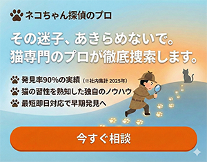 ネコちゃん探偵のプロ