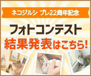ネコジルシのフォトコンテスト結果