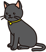 黒猫