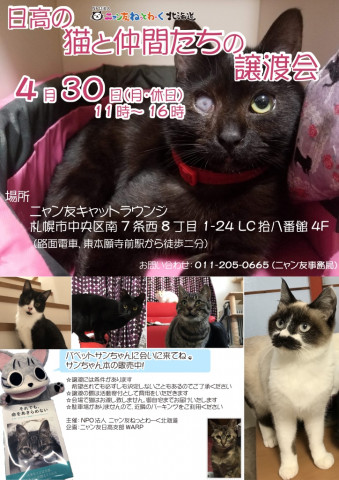 日高の猫と仲間たちの譲渡会