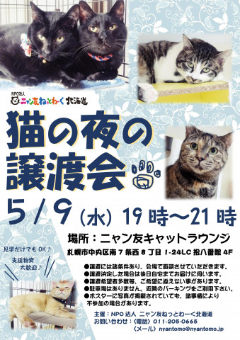 猫の夜の譲渡会