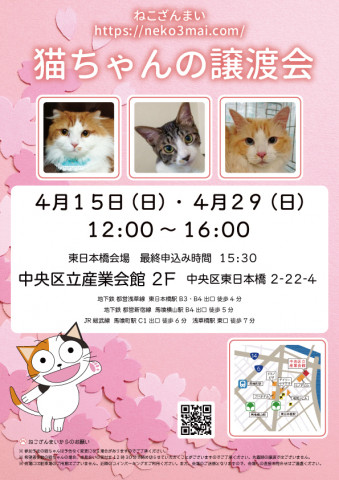 猫ちゃんの譲渡会&ハンディキャット譲渡会　同時開催