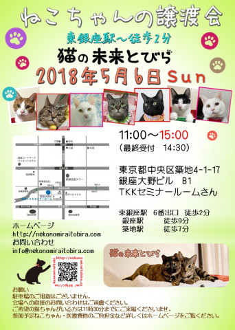 東京東銀座☆猫の未来とびら譲渡会☆