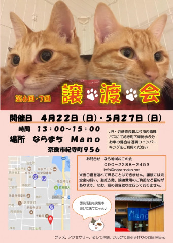  第7回なら地域ねこの会 譲渡会