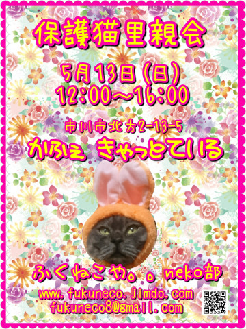 ふくねこや。。neko部 第29回 保護猫さとおや会