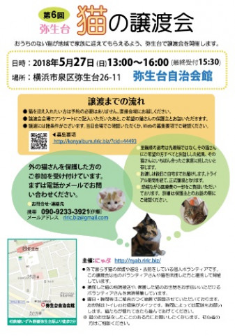 ♥..横浜市泉区でねこの譲渡会..♥ 第６回 ５月27日（日）