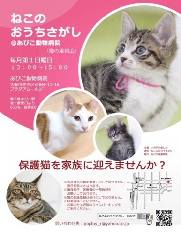 第3回☆ねこのおうちさがし