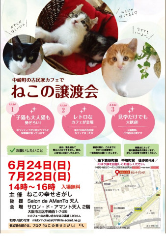 7月22日　ねこの幸せさがし譲渡会　