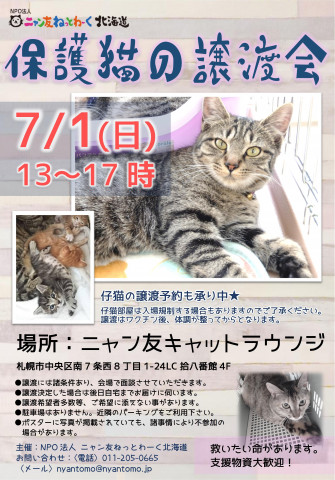 保護猫の譲渡会