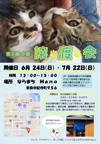  第9回なら地域ねこの会 譲渡会