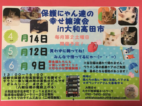  保護にゃん達の幸せ譲渡会in大和高田市