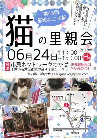 第４３回　都賀ねこ里親会