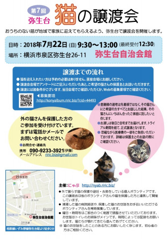 横浜市泉区でねこの譲渡会第8回 7月22日（日）