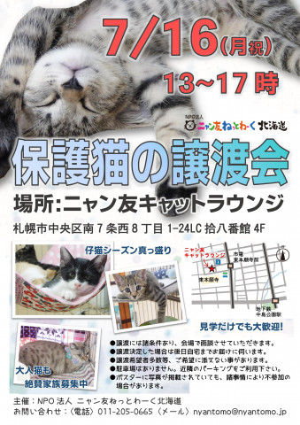 保護猫の譲渡会