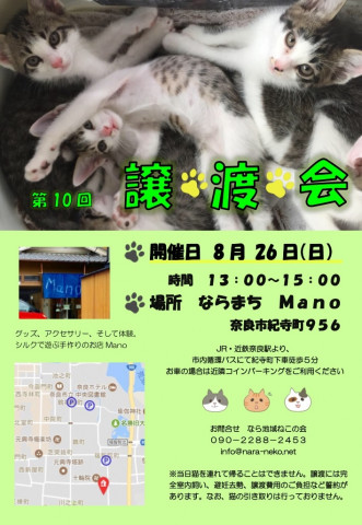  第10回なら地域ねこの会 譲渡会