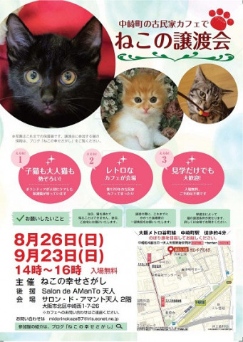 古民家カフェで　ねこの幸せさがし譲渡会