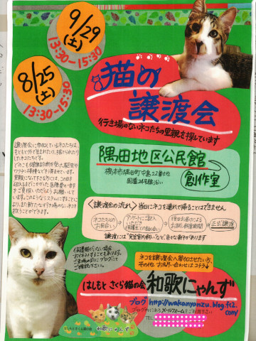 猫の譲渡会♡in 和歌山県橋本市