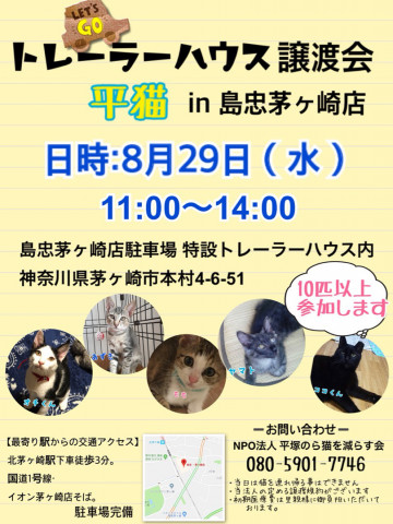 トレーラーハウス譲渡会  平猫in島忠茅ヶ崎店
