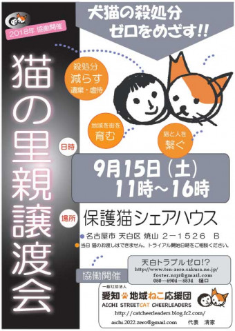 保護猫の里親譲渡会