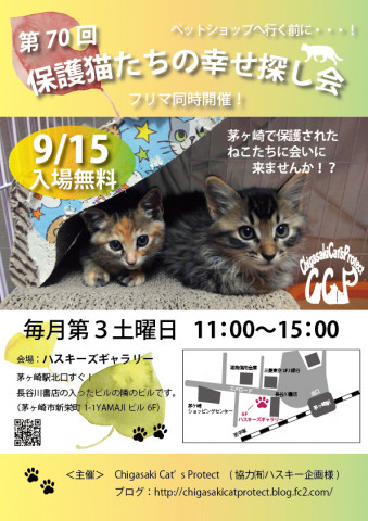 第７０回　保護猫たちの幸せ探し会