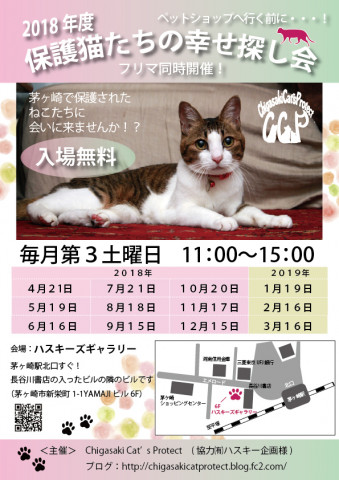 第７１回　保護猫たちの幸せ探し会