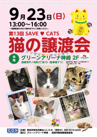 SAVE♥ＣＡＴＳ　第13回 猫の譲渡会