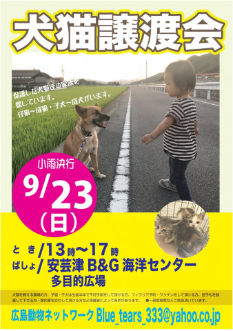 犬猫譲渡会