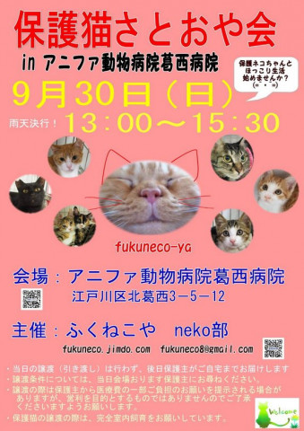 ふくねこや。。neko部 第35回 保護猫里親会