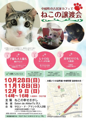 古民家カフェで　ねこの幸せさがし譲渡会