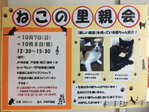 第14回　ねこの里親会を開催します