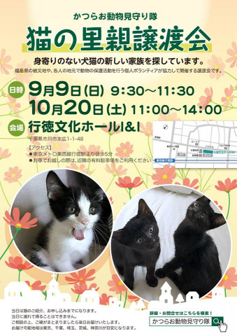 猫の里親譲渡会