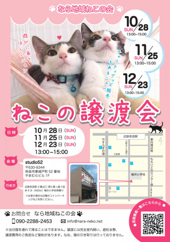 猫の譲渡会